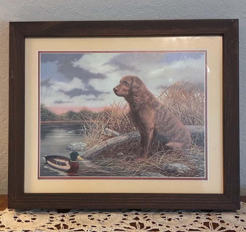 Andrew Chapman Chesapeake Bay Retriever Dog Art Print Framed